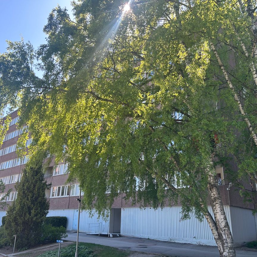 Liegatan 17 - Photo 2