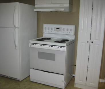 2 Bedroom Basement Suite in College Park - Photo 2