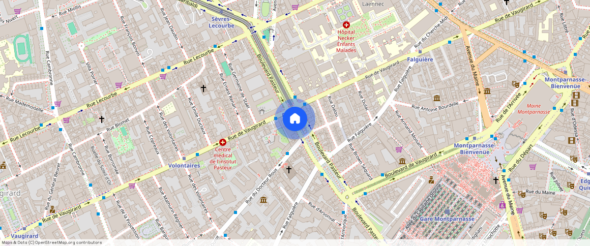 Boulevard Pasteur, 75015, Paris