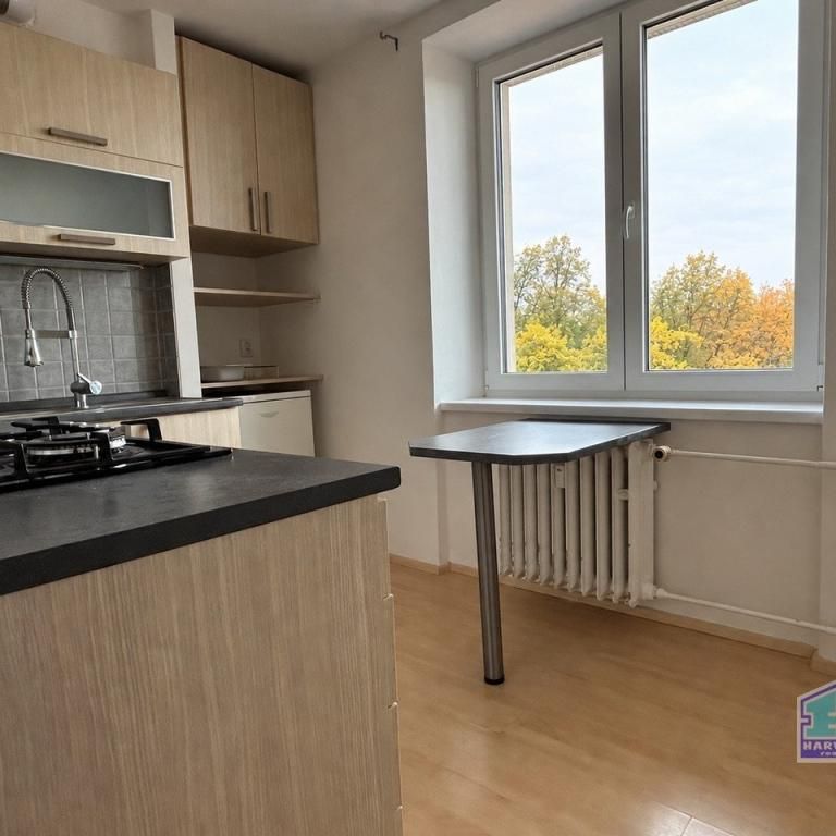Pronájem bytu 1+1 35 m2 - Fotografie 1