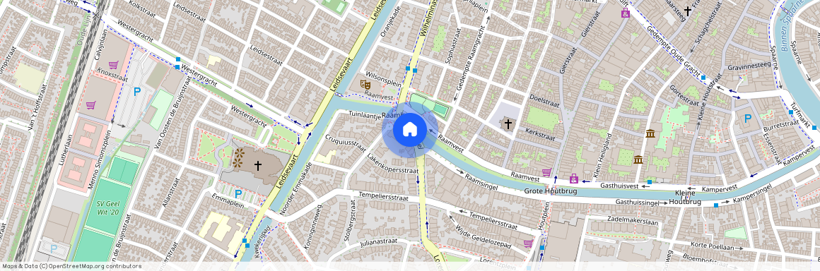 Koninginnebuurt, 2012 DV, Raamsingel, Haarlem