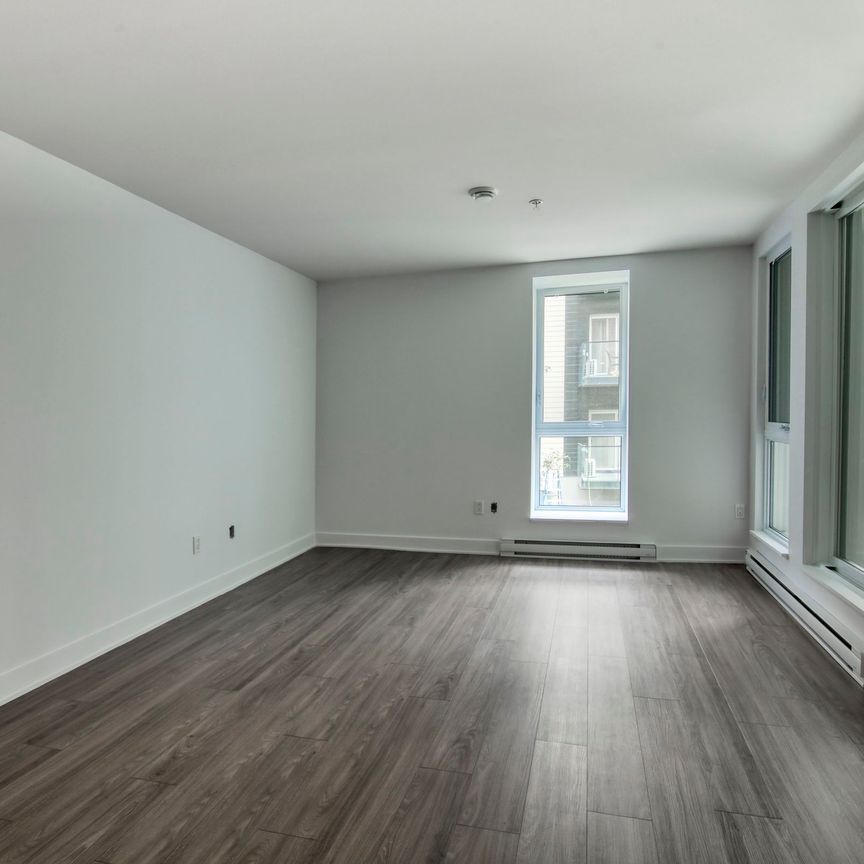 9675 Av. Papineau - Photo 1
