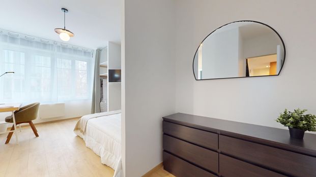 GAMBETTA FA Colocation 4 chambres à Lyon 7e - Photo 1