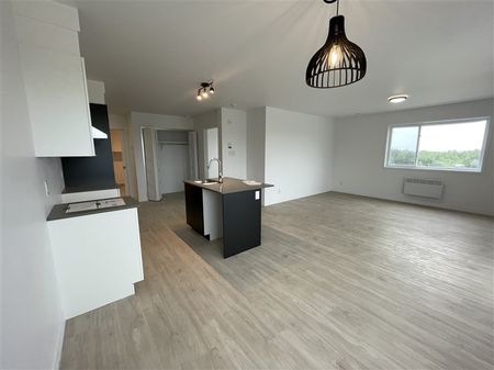 820-304, rue Lamarche, Sherbrooke, J1H 0M9 3½ pour Janvier - Photo 2