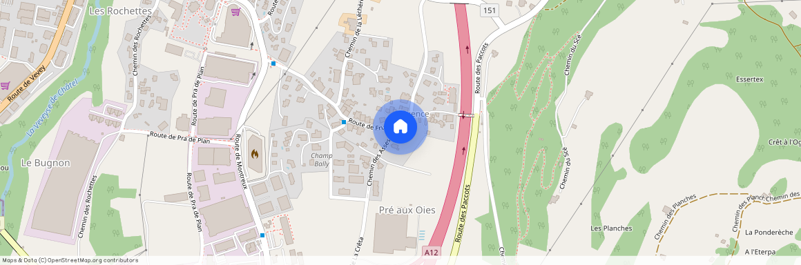 1 Chemin des Asses, 1618 Châtel-Saint-Denis