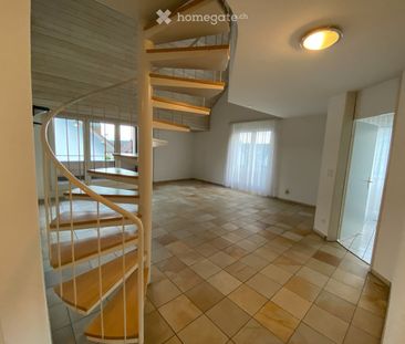 3.5 Zimmer, 110 m² - Foto 2