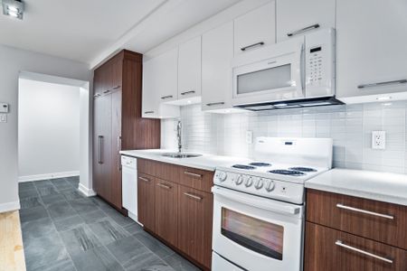 Appartement à louer, Montréal (Ville-Marie) - Photo 3