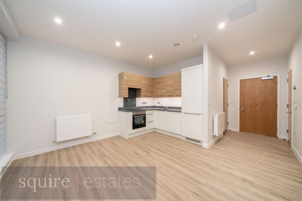 Bryanston Court Selden Hill, HP2 4TN, Hemel Hempstead - Photo 1