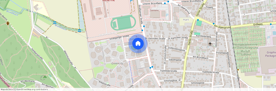 Olga-Rudel-Zeynek-Gasse 8 / 22, 8054, Graz