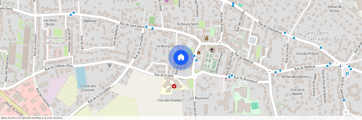 45560, Saint-Denis-En-Val