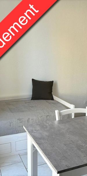 Location Appartement 1 pièce 17m² CHALON SUR SAONE 71100 - Photo 1