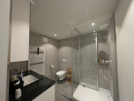 Lichtdurchflutete 3.5 Zimmer-Wohnung mieten - Foto 4