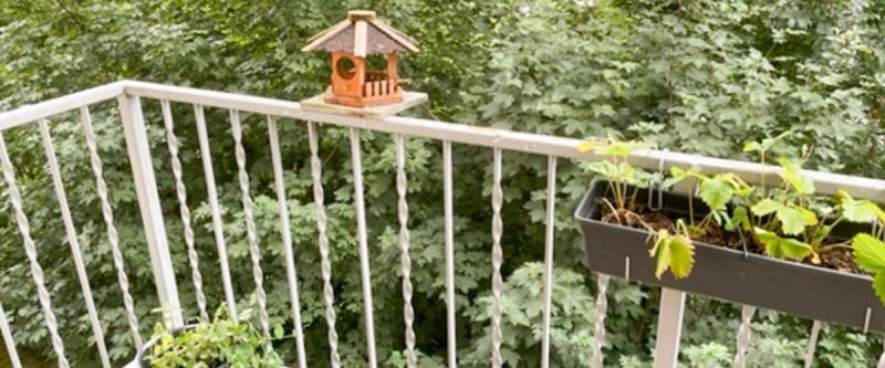 Moderne 4-Raum-Wohnung mit Balkon in Annaberg OT Buchholz!! - Photo 1