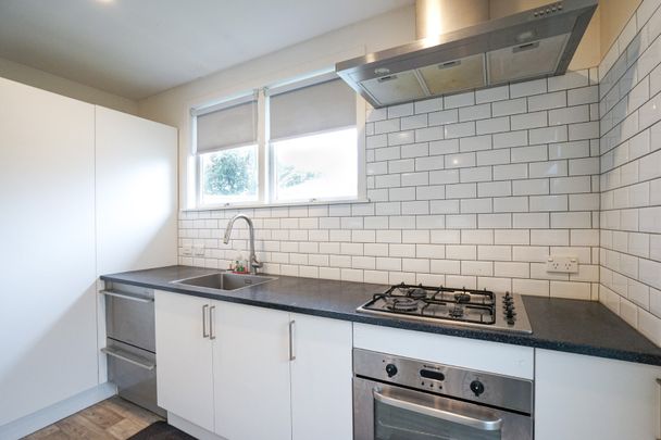 Water, Lawns & Some Appliances Included - Photo 1