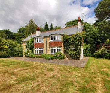 Lane Off Of Main Rd, Duddleswell, TN22 - Photo 6