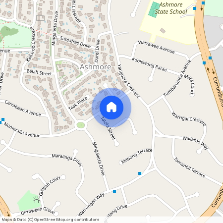 12 Numeralla Avenue, Qld 4214, Ashmore