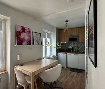 Location Appartement 1 pièce 20m² - Photo 3