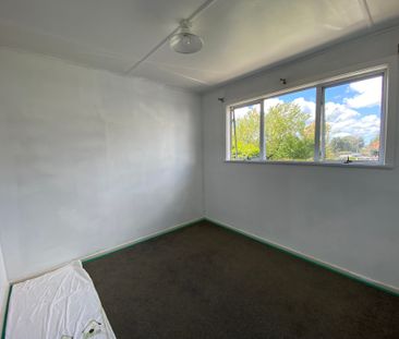 Charming 3 Bedroom Home in Te Puke - Photo 2