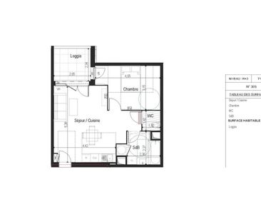 Location Appartement 2 pièces 46m² AGDE 34300 - Photo 1