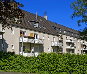 Demnächst frei! 2-Zimmer-Wohnung in Hagen Eilpe - Photo 1