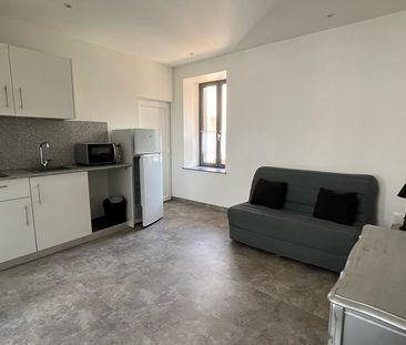 Location Appartement 1 pièce 25m² - Photo 3