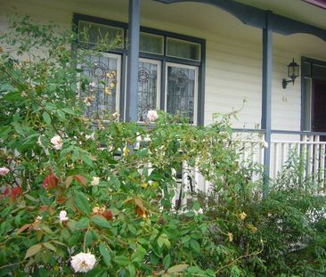 CUTE COTTAGE - Photo 5