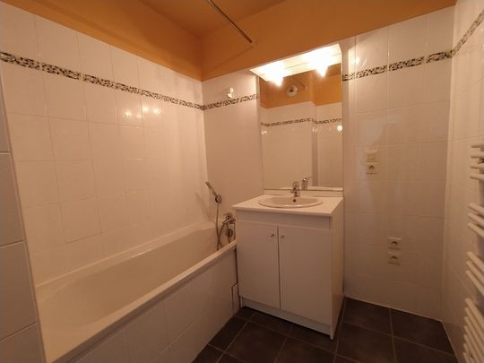 Appartement - 2 pièces - Jardin Lecoq/Facultés - Photo 1