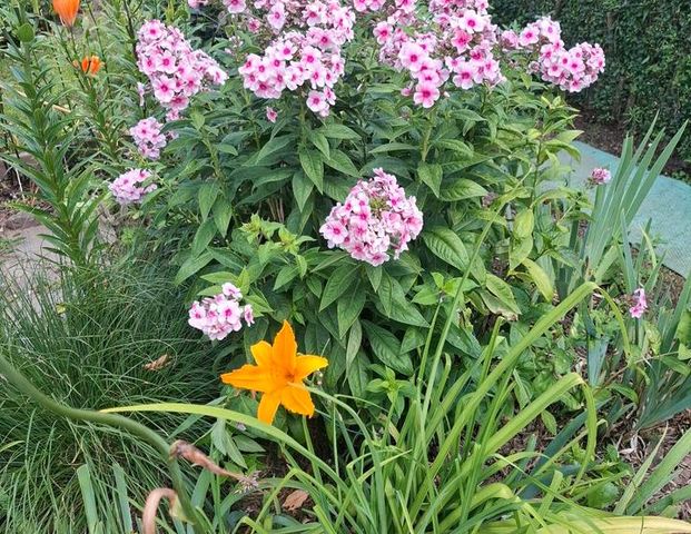 Bayern/ Weilheim und Umgebung - Photo 1