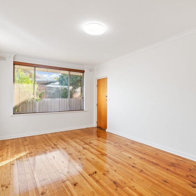 2/64A Second Avenue, St Peters SA 5069 - Apartment For Rent | Domain - Photo 1