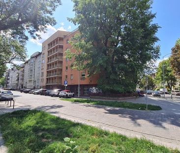 MIESZKANIE na WYNAJEM - Photo 4