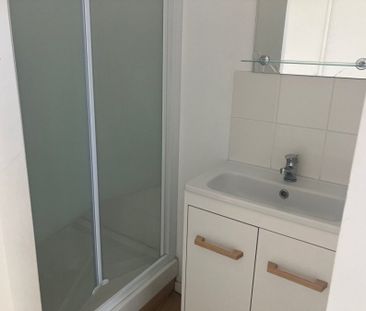 Appartement 1 pièce à Lille - Photo 3