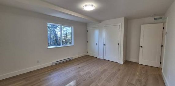 Brand New 3-Bedroom Upper Suite with Forest Views – Available Feb 1, 2 - Photo 2