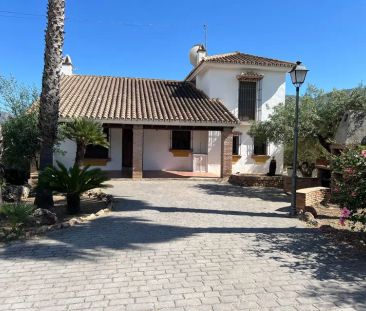 Alquiler de casa o chalet independiente en Camino Viejo de Málaga, 12 - Photo 4