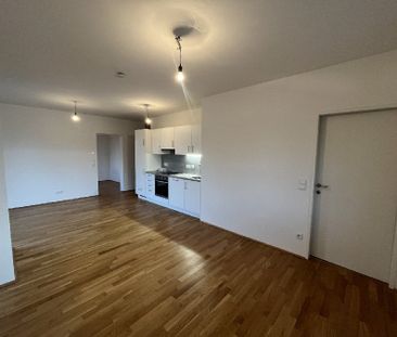 Gemütliche 3-Zimmer-Wohnung in ruhiger Lage - Photo 2