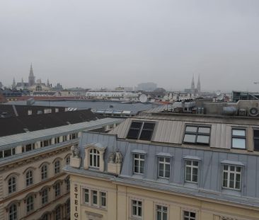 10. OG im HOCHHAUS HERRENGASSE!!!! 1-Zimmer-Wohnung mit Weitblick!!! - Photo 2