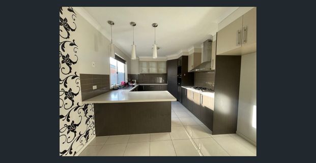 Effortless Family Living in a Prime Location! - Photo 1