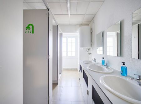 Rua Alexandre Herculano, Lisbon, Lisbon 1150-005 - Photo 3