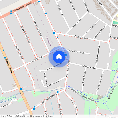 3 Wearne Street, NSW 2193, Canterbury