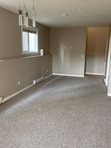 Stonebridge - 2 Bedroom/1 Bathroom Lower Unit - 554 Senick Cres - Photo 3