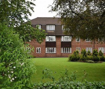 3 Bedroom Apartment To Let - Photo 6