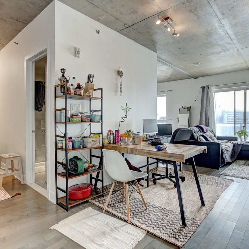 Condo for rent, Mont-Royal - Photo 1