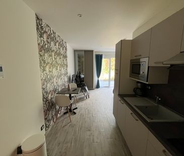 Location Appartement 1 pièce 30m² CARMAUX 81400 - Photo 2