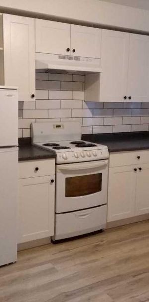 Beau 3 1/2 – Rosemont – Sous-sol bien entretenu et rafraîchi - Photo 1