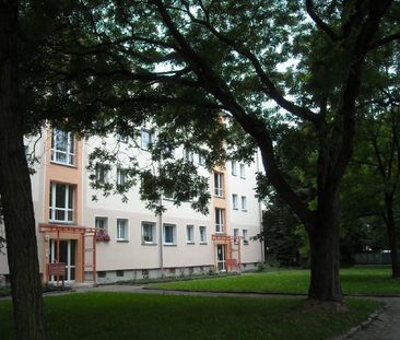 Dresden-Schöne 3-Zimmer-Wohnung Am Zoo in Dresden zu vermieten! - Foto 3