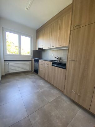 2 Zimmer, 51 m², 1. Stock - Photo 1