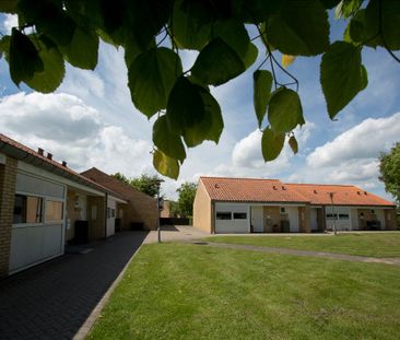 Vester Hassing - Photo 3
