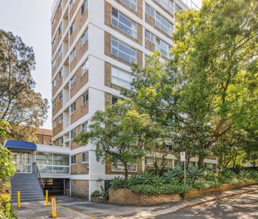 41/15 Wylde Street, Potts Point NSW 2011 - House For Rent | Domain - Photo 2