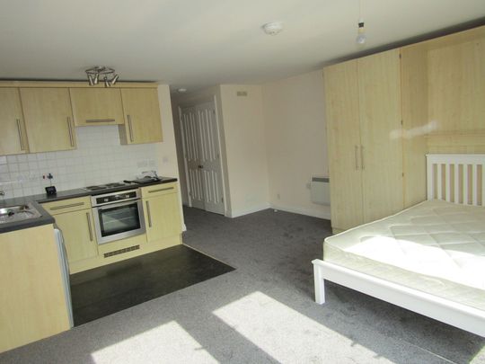 1 bed Studio Apartment - To Let - Photo 1