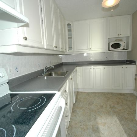 2 bedroom unit close to Cite Collegiale and Ogilvie/Bathgate - Photo 4