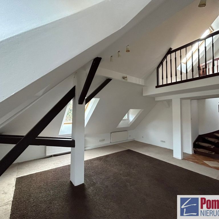 Jasne Błonia, ul. Monte Cassino - Zdjęcie 1